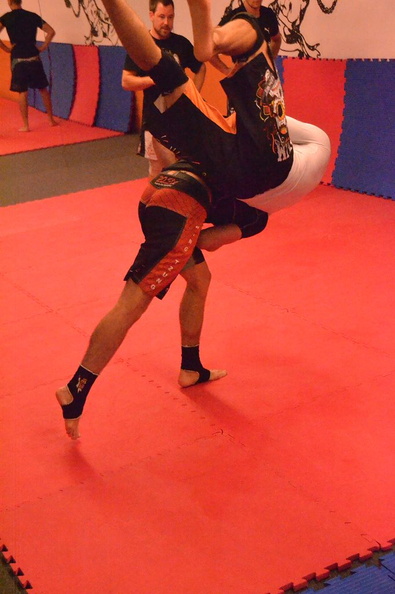 BJJ-MMA-Training (48).jpg