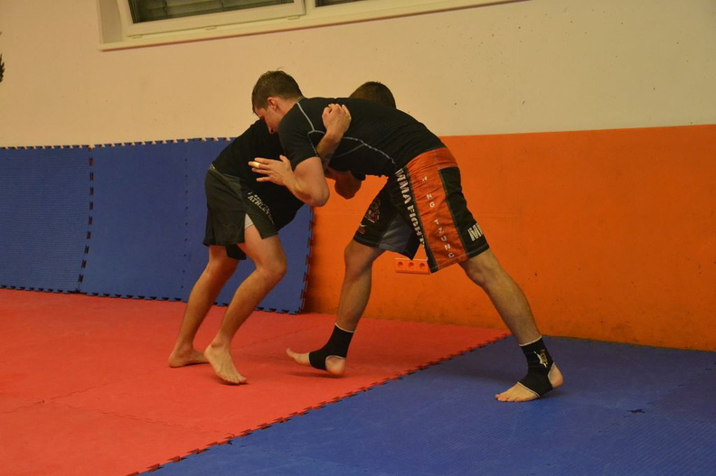 BJJ-MMA-Training (30).jpg