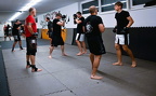 BJJ-MMA  (2)